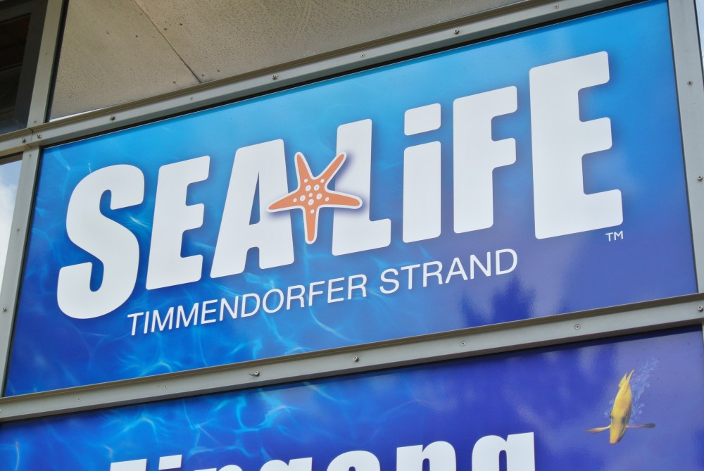 Sea-Life.jpg